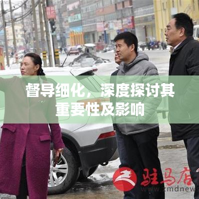 督導(dǎo)細(xì)化，深度探討其重要性及影響