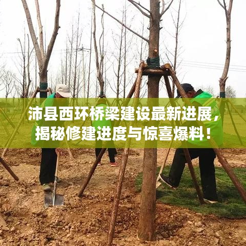 沛縣西環(huán)橋梁建設(shè)最新進(jìn)展，揭秘修建進(jìn)度與驚喜爆料！