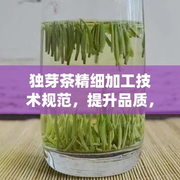 獨(dú)芽茶精細(xì)加工技術(shù)規(guī)范，提升品質(zhì)，百度收錄必備指南