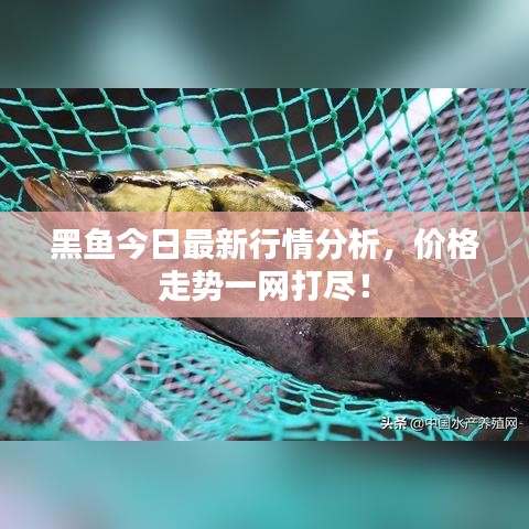 避難就易 第2頁