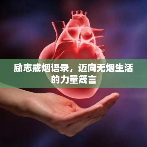 勵(lì)志戒煙語(yǔ)錄，邁向無(wú)煙生活的力量箴言