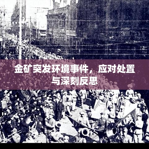 金礦突發(fā)環(huán)境事件，應(yīng)對(duì)處置與深刻反思