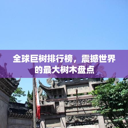 全球巨樹排行榜，震撼世界的最大樹木盤點
