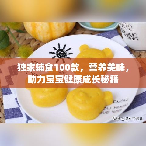 獨(dú)家輔食100款，營養(yǎng)美味，助力寶寶健康成長秘籍
