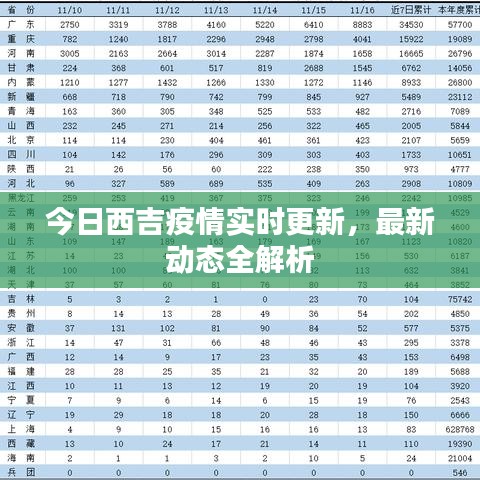今日西吉疫情實時更新，最新動態(tài)全解析