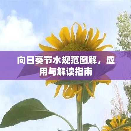 向日葵節(jié)水規(guī)范圖解，應(yīng)用與解讀指南