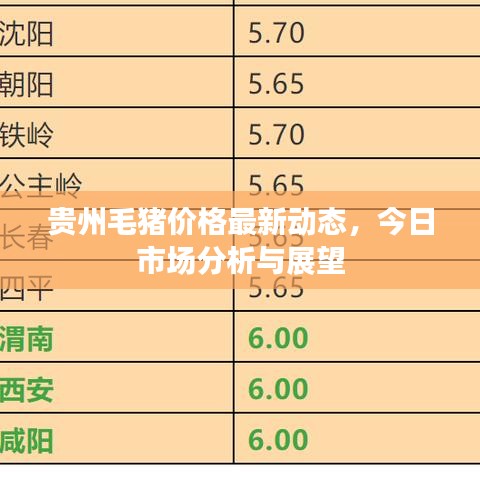 貴州毛豬價(jià)格最新動(dòng)態(tài)，今日市場分析與展望