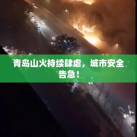 青島山火持續(xù)肆虐，城市安全告急！