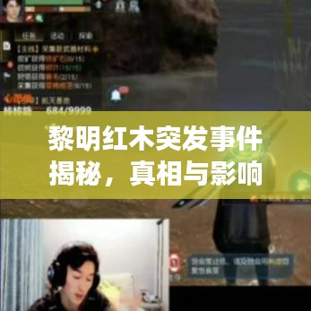 黎明紅木突發(fā)事件揭秘，真相與影響探究