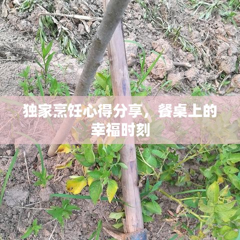 獨(dú)家烹飪心得分享，餐桌上的幸福時(shí)刻