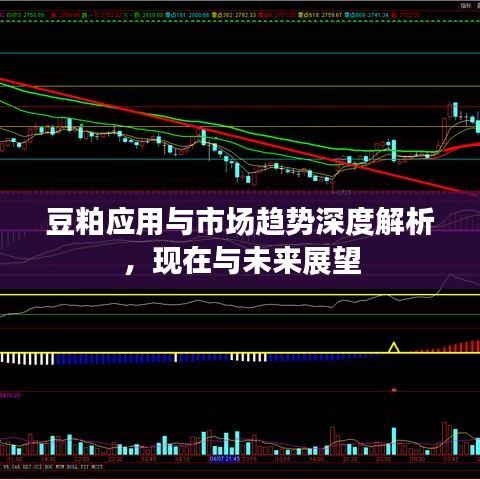 豆粕應(yīng)用與市場(chǎng)趨勢(shì)深度解析，現(xiàn)在與未來(lái)展望