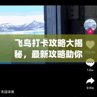 飛鳥(niǎo)打卡攻略大揭秘，最新攻略助你暢游天際！