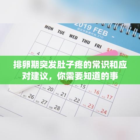 排卵期突發(fā)肚子疼的常識(shí)和應(yīng)對(duì)建議，你需要知道的事