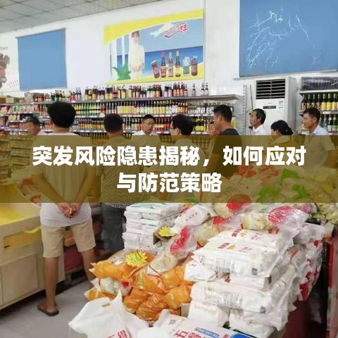 突發(fā)風(fēng)險(xiǎn)隱患揭秘，如何應(yīng)對(duì)與防范策略