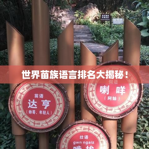 世界苗族語言排名大揭秘！