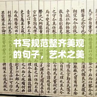 書寫規(guī)范整齊美觀的句子，藝術(shù)之美的文字打造