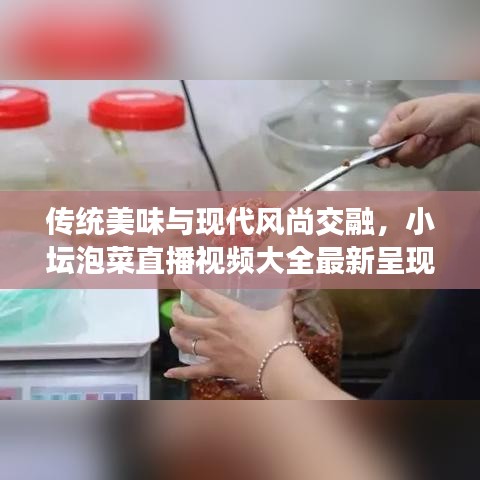 傳統(tǒng)美味與現(xiàn)代風(fēng)尚交融，小壇泡菜直播視頻大全最新呈現(xiàn)