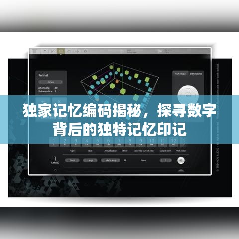 獨(dú)家記憶編碼揭秘，探尋數(shù)字背后的獨(dú)特記憶印記