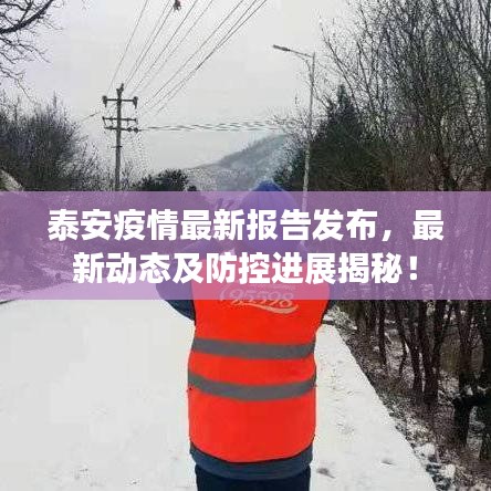 泰安疫情最新報(bào)告發(fā)布，最新動(dòng)態(tài)及防控進(jìn)展揭秘！