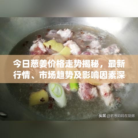 今日蔥姜價(jià)格走勢揭秘，最新行情、市場趨勢及影響因素深度解析
