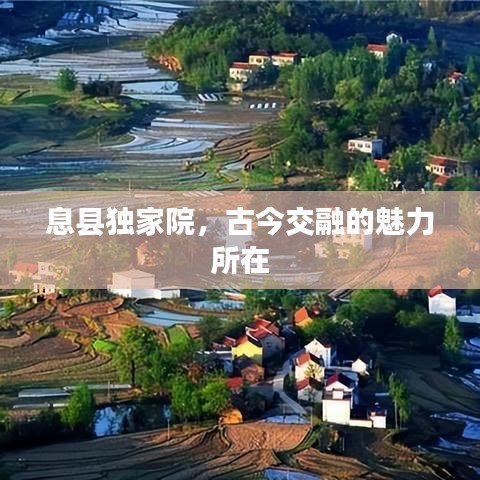 甄繁就簡(jiǎn) 第2頁(yè)
