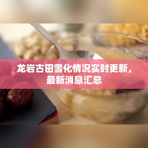 龍巖古田雪化情況實(shí)時(shí)更新，最新消息匯總