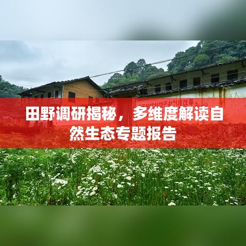 田野調(diào)研揭秘，多維度解讀自然生態(tài)專(zhuān)題報(bào)告