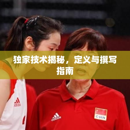 獨(dú)家技術(shù)揭秘，定義與撰寫指南