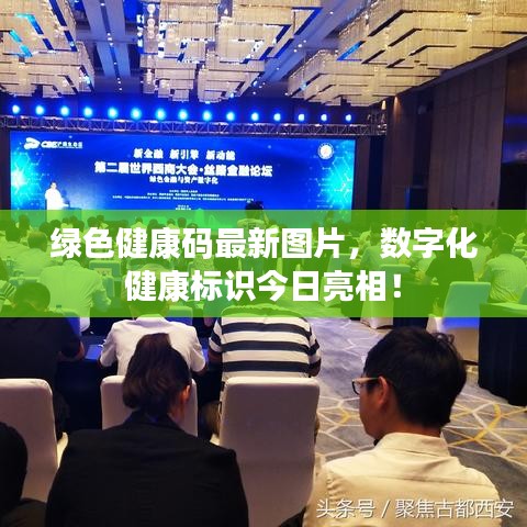 綠色健康碼最新圖片，數(shù)字化健康標(biāo)識(shí)今日亮相！