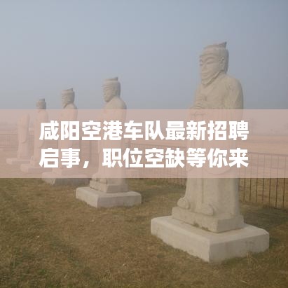 咸陽空港車隊(duì)最新招聘啟事，職位空缺等你來挑戰(zhàn)！
