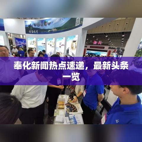 奉化新聞熱點(diǎn)速遞，最新頭條一覽