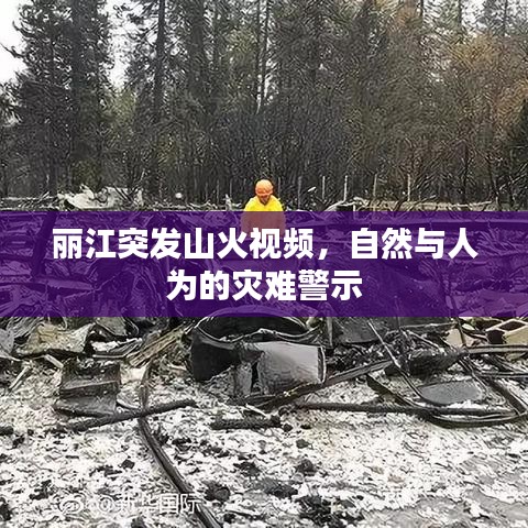 麗江突發(fā)山火視頻，自然與人為的災(zāi)難警示
