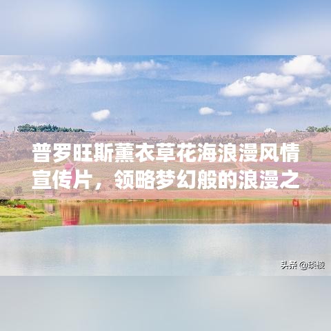 普羅旺斯薰衣草花海浪漫風情宣傳片，領(lǐng)略夢幻般的浪漫之旅！