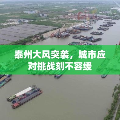 泰州大風(fēng)突襲，城市應(yīng)對挑戰(zhàn)刻不容緩