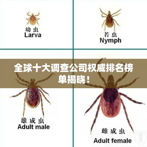 全球十大調(diào)查公司權(quán)威排名榜單揭曉！